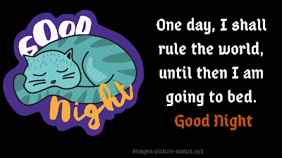 Good Night Images Pictures, Photos, Greeting for Whatsapp and Facebook