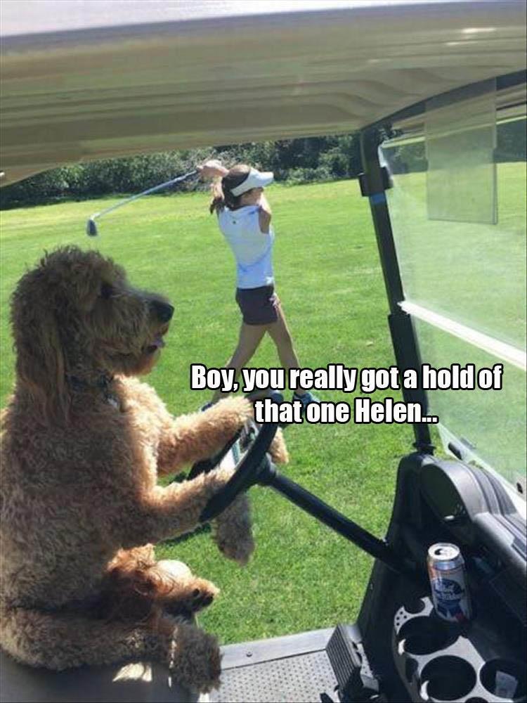 30 Funny animal captions part 55 (30 pics) Amazing Creatures