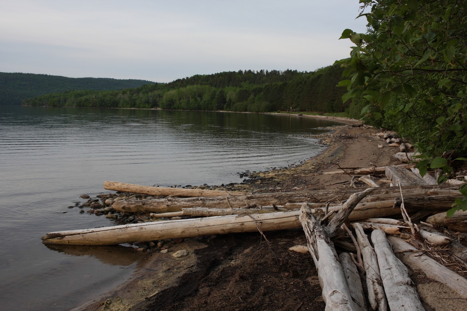 The Campsites Driftwood Ontario Provincial Park