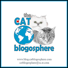 Where Cats go to get the news...