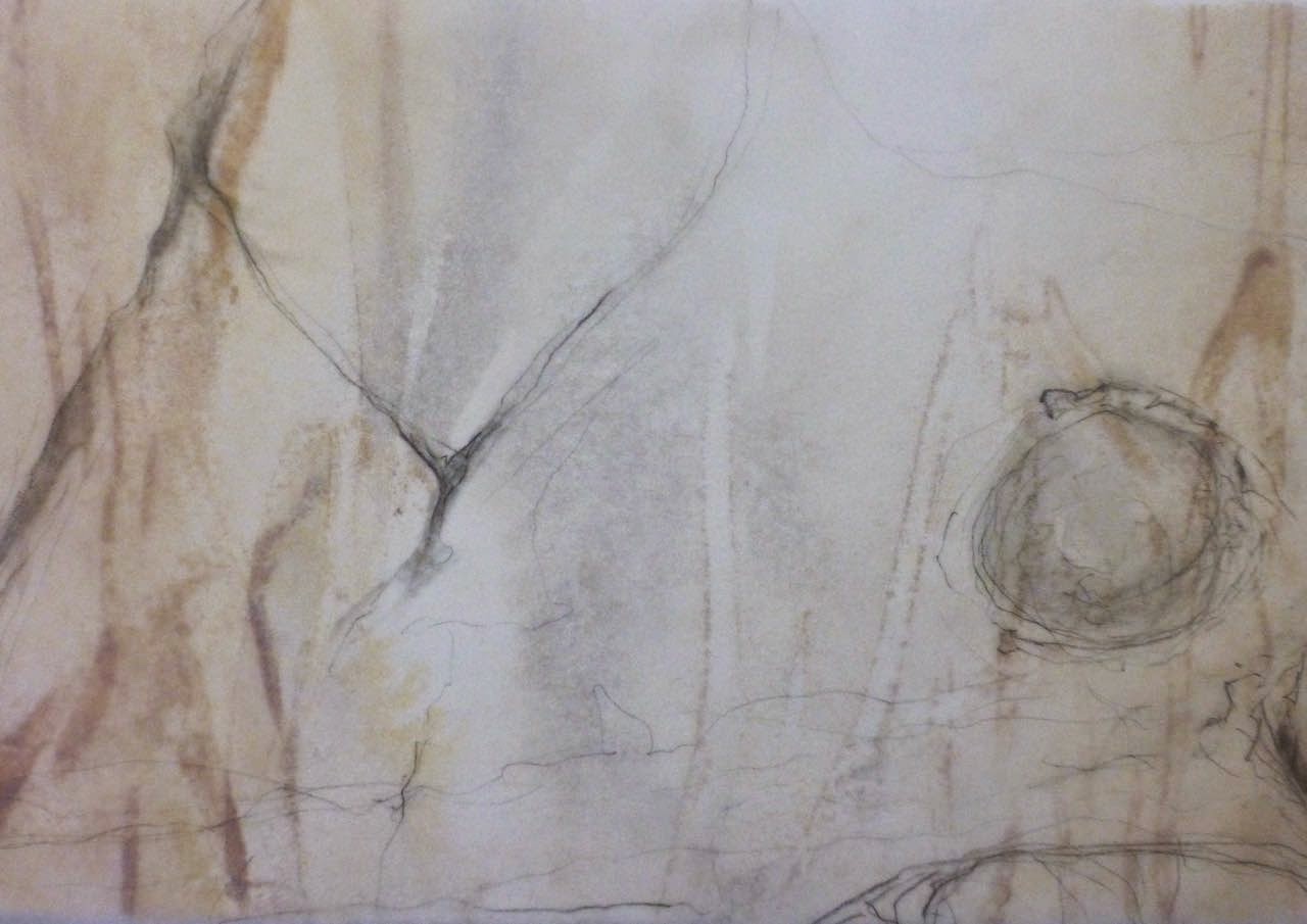 tracemarks soft look at boulders..