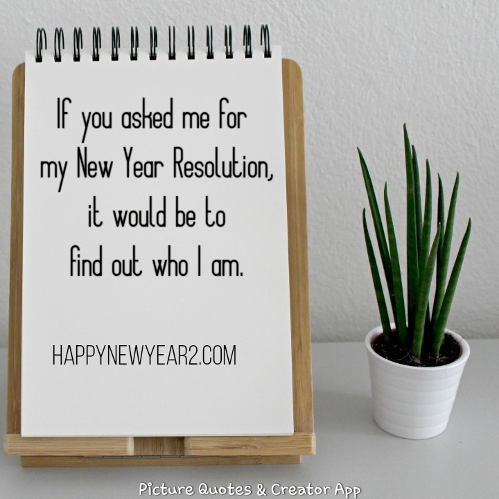 New Year 2019 Quotes Images New Year 2019 Quotes Images
