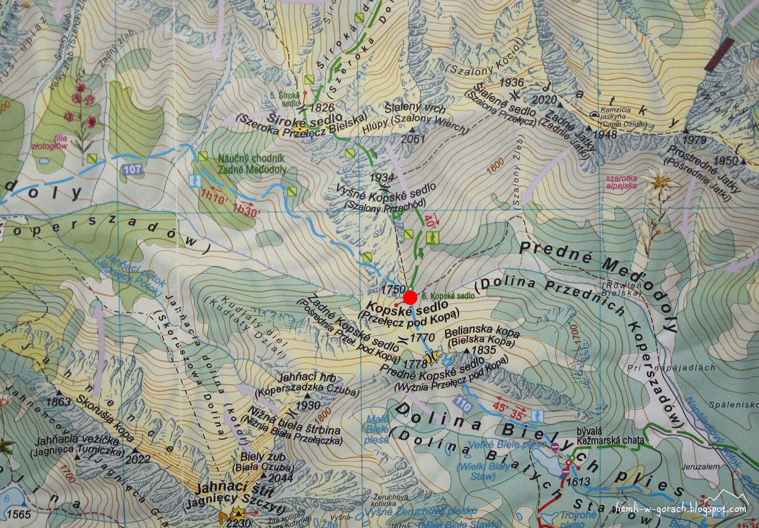 Przełęcz pod Kopą - mapa