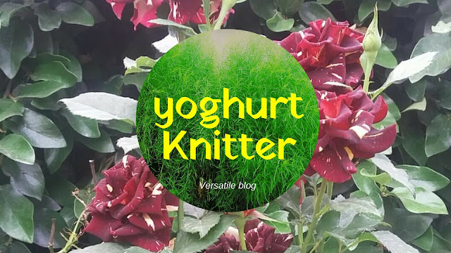Youghurt knitter
