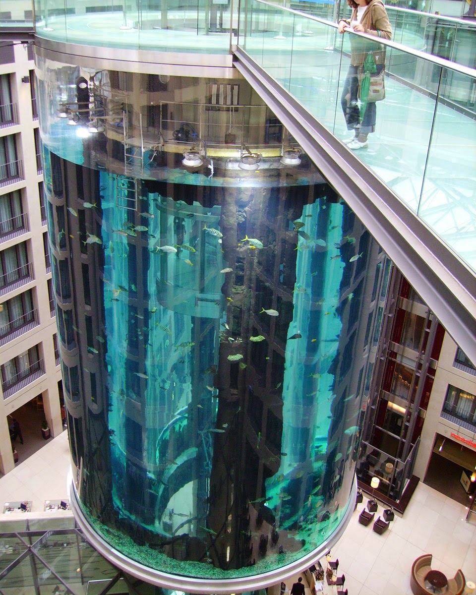 The AquaDom aquarium with unique design