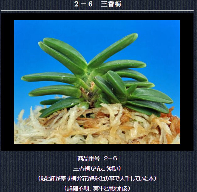  http://www.fuuran.jp/2-6.html