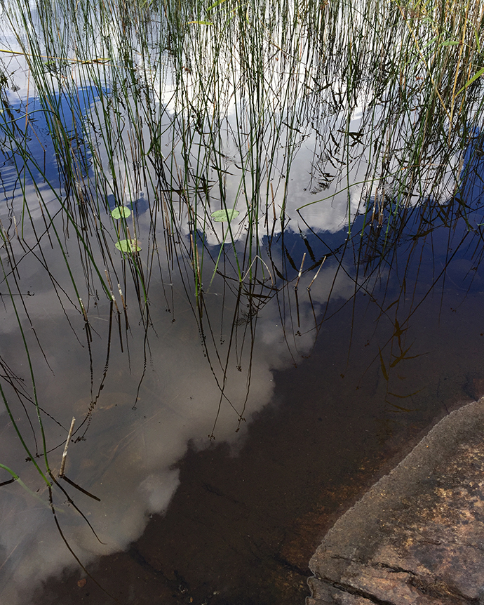 Schaeresteipapier August 2016