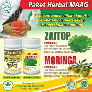  obat herbal maag/asam lambung