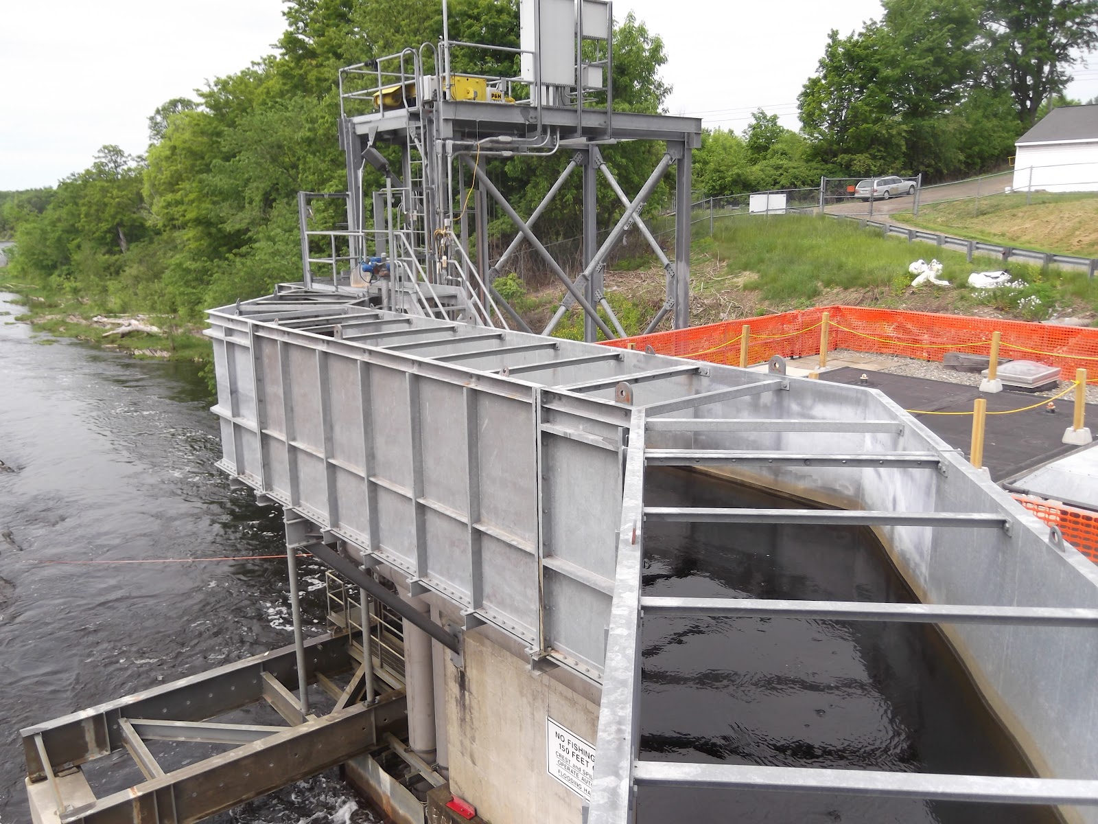 2012 Fish Big Year River Herring in Maine