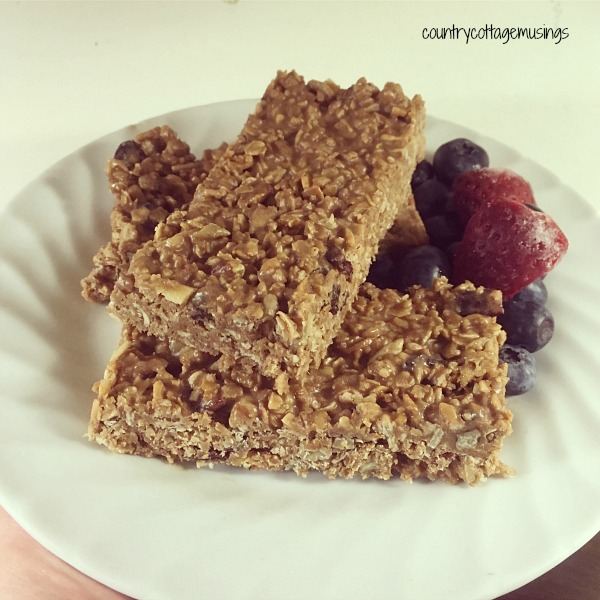 No bake protein granola bar