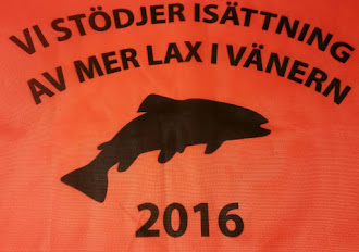 Vi støtter mer lax i Vänern 2015 - 2022