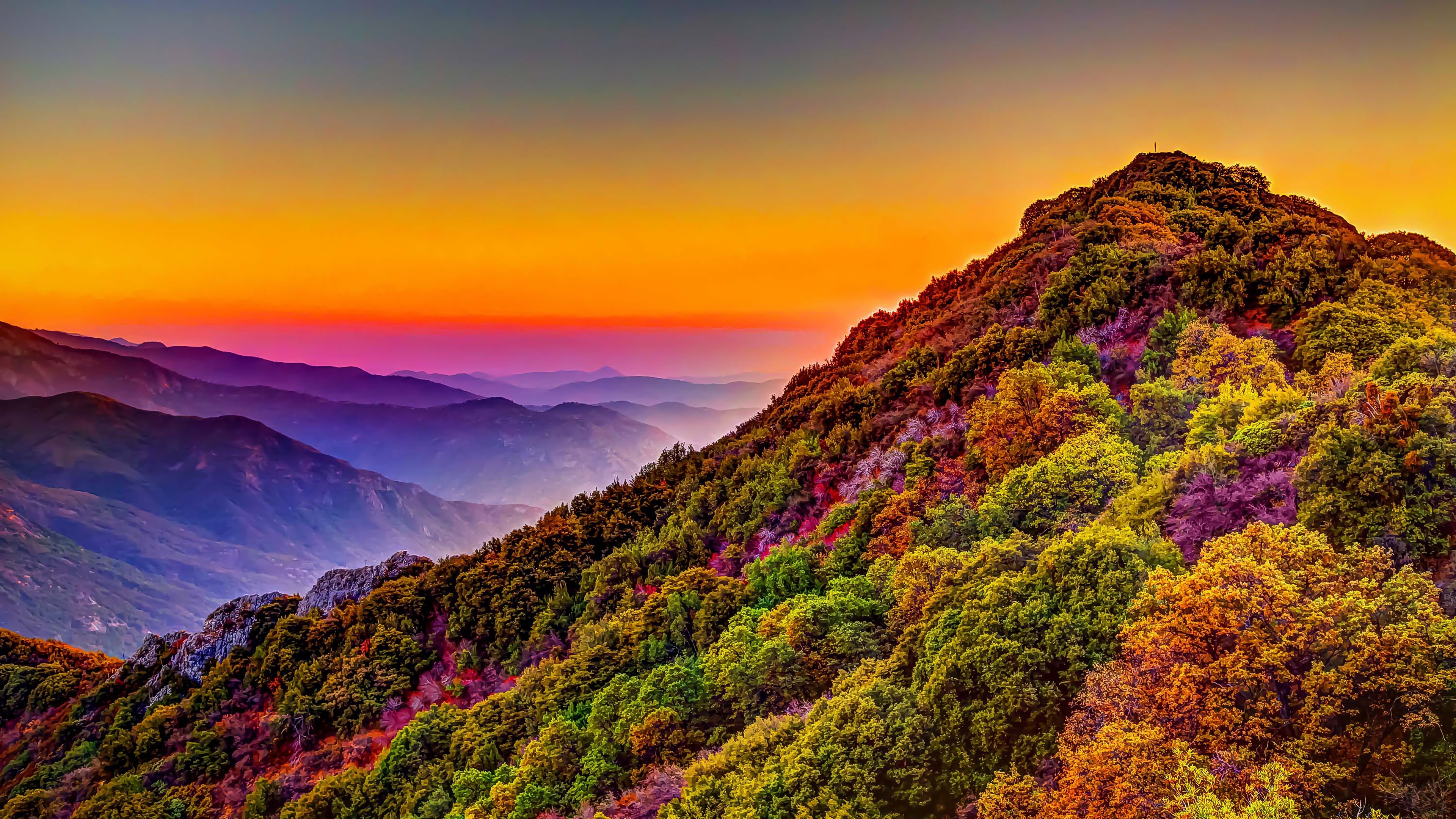 Mountain, Colorful, Forest, Nature, Sunset, Scenery, 4K, #161 Wallpaper