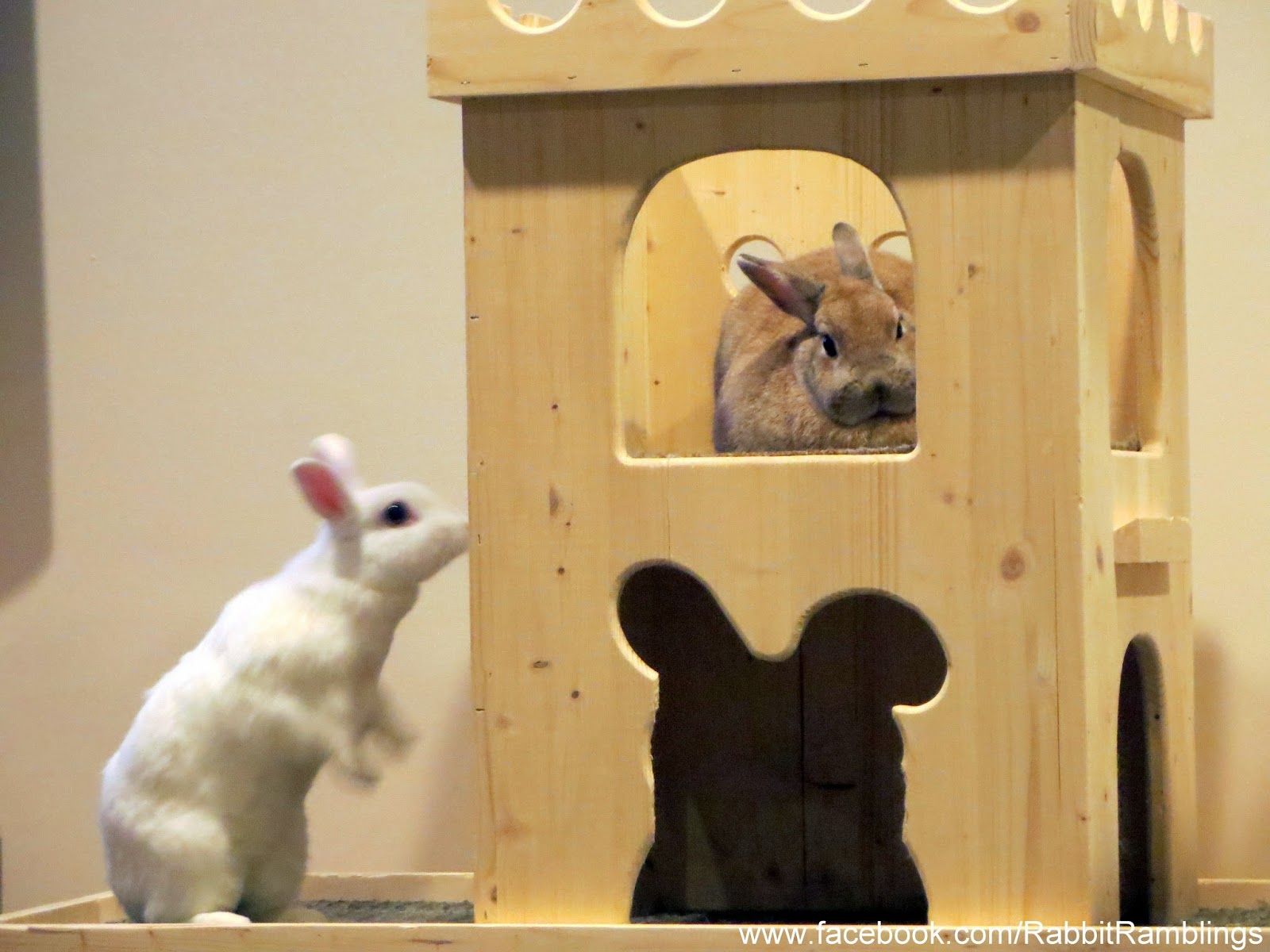 Rabbit Ramblings Rearranging the bunny furniture