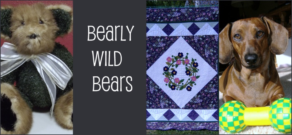 BEARLY WILD BEARS