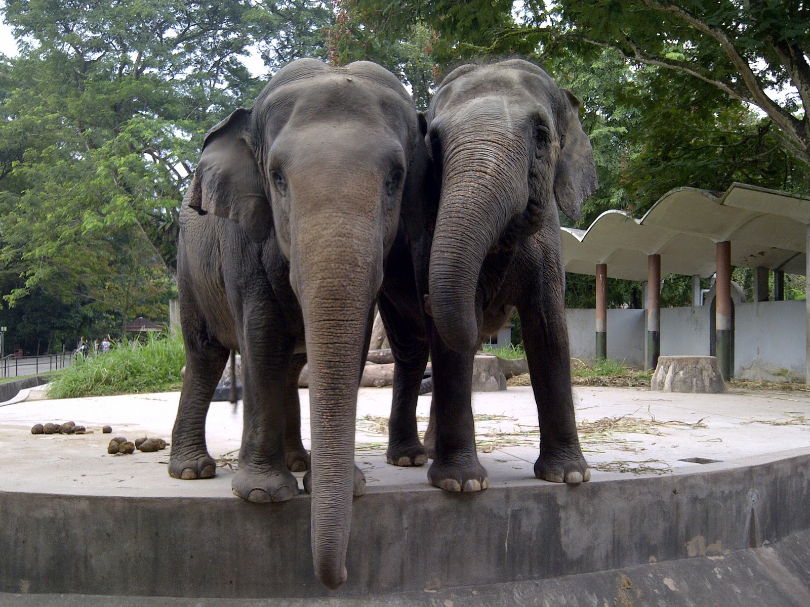 Life Is Great, Live Life To The Fullest!: Beraya di Zoo Negara