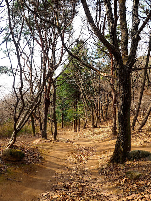 Hiking path through forest in autumn, on Geumjeongsan Mountain, Busan, South Korea
