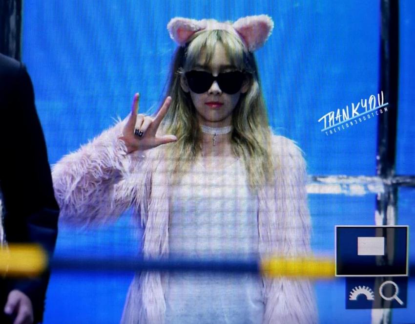 오늘 태연 출근길 (냥이코스프레) | 인스티즈