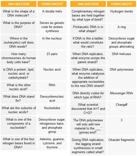 Dna And Rna Practice Quiz