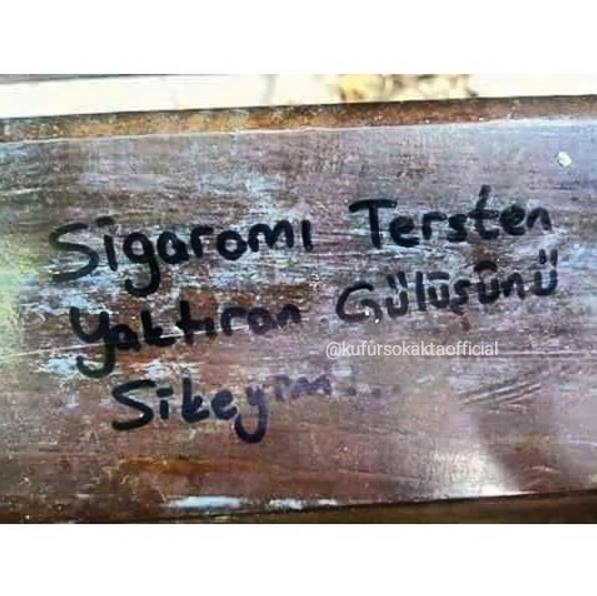 Resimli Küfürlü Sözler Duvar Yazilari Küfür Sokakta 2018 GamTeli