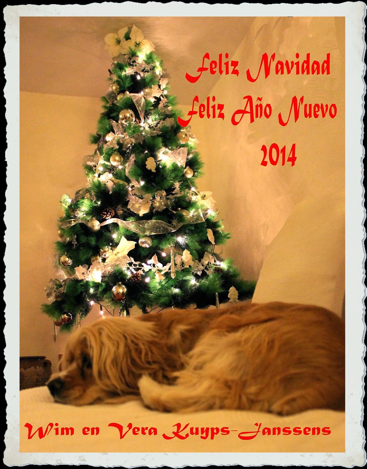 Info Hondón de las Nieves en Costa Blanca zuid.: december 2013