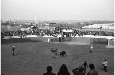 ttt---2.-plaza+toros172.jpg