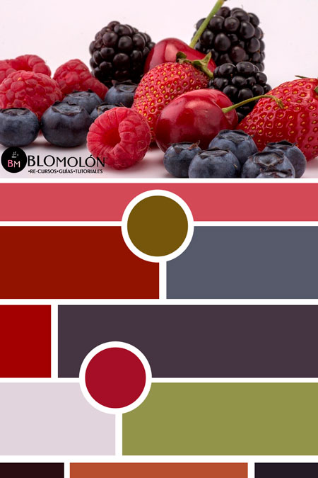 moodboard colores 4 moodboard_colores_4
