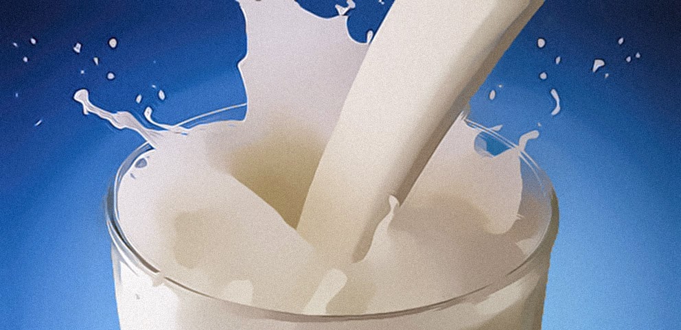 diabetes tipo 2 y leche entera