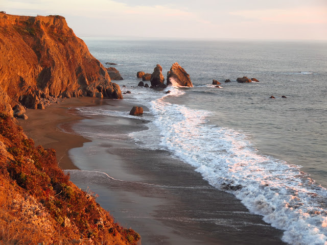 Mendocino Coast