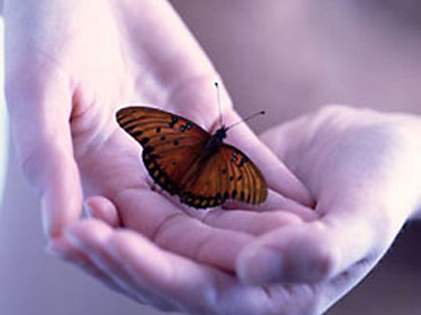 Resultado de imagen de mariposas en las manos
