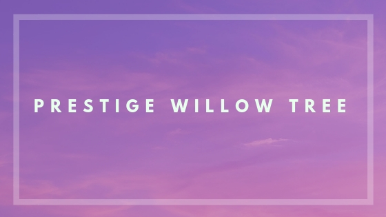 Prestige Willow Tree