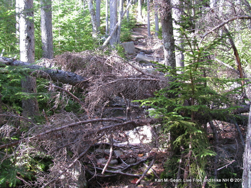 Live Free and Hike A NH Day Hiker's Blog Mount Potash A Hidden Gem