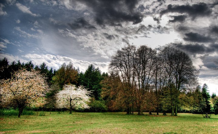 Muhlhausen Geschichte Und Mehr 89 Vogteier Impressionen