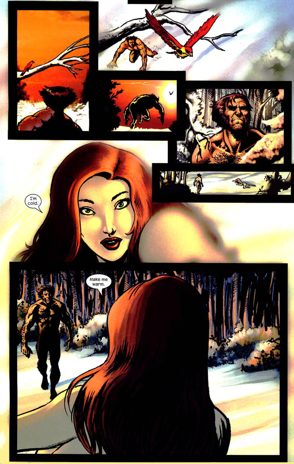 Wolverine (2003) Issue #12 #14 - English 18