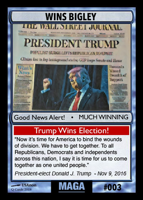 Collectable Q Anon Card Deck -- For the Avid Freedom Fighter! 03%2BWins%2BBigley