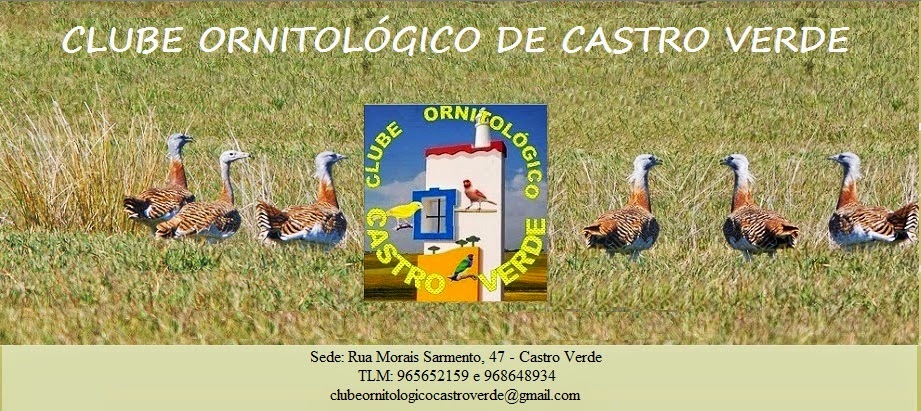 Clube Ornitologico de Castro Verde