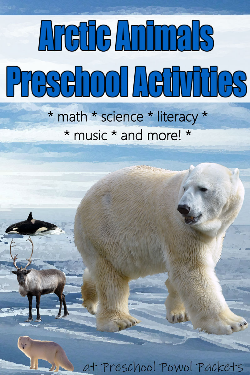 Arctic Animal Thematic Literacy Activities for Preschool- Kindergarten