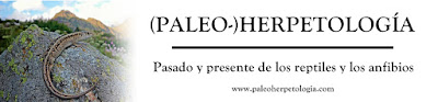 (Paleo-)Herpetología