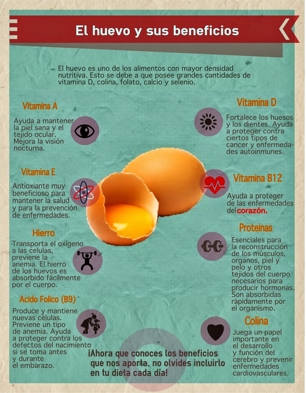 Infografía huevo