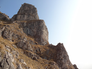 My unofficial page Fratelli Tessari