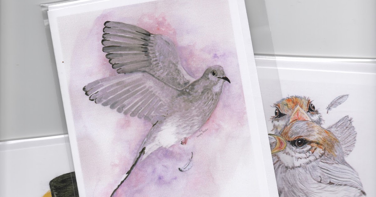murphy 39 s studio murphy wallace artist new note cards christmas cards national wildlife