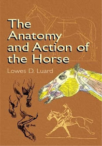 The Anatomy and Action of the Horse (Dover Anatomy for Artists)