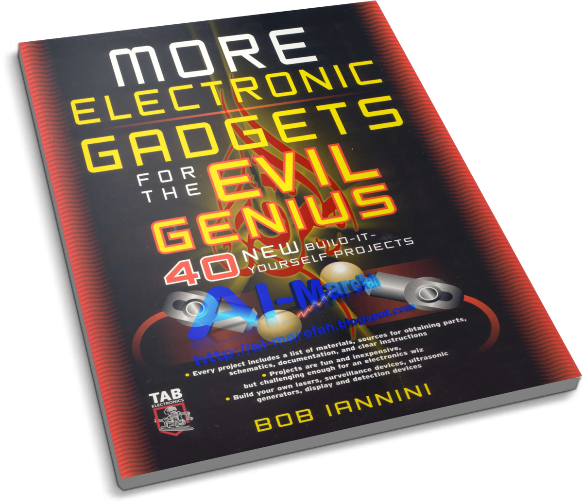 Huge landscape Front lawn landscaping ideas 6 traits posters