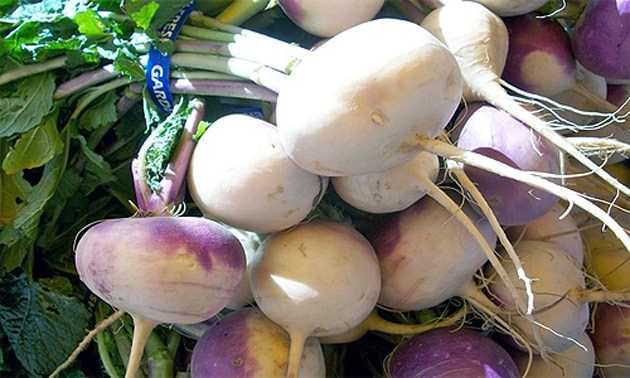 Nabo (Brassica rapa L.) Nabo (Brassica rapa L.)