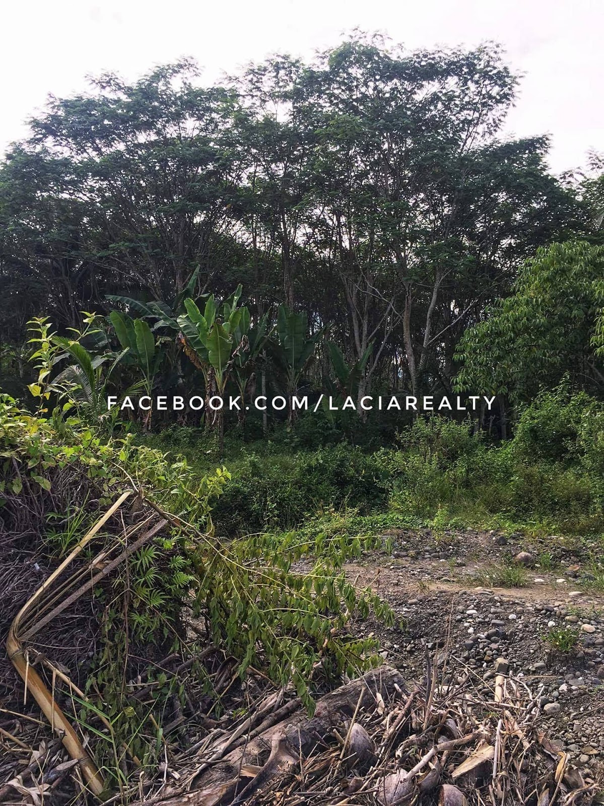 TAGUM CITY PROPERTIES FOR SALE 8 Hectares Farm Lot in Casuon, Monkayo
