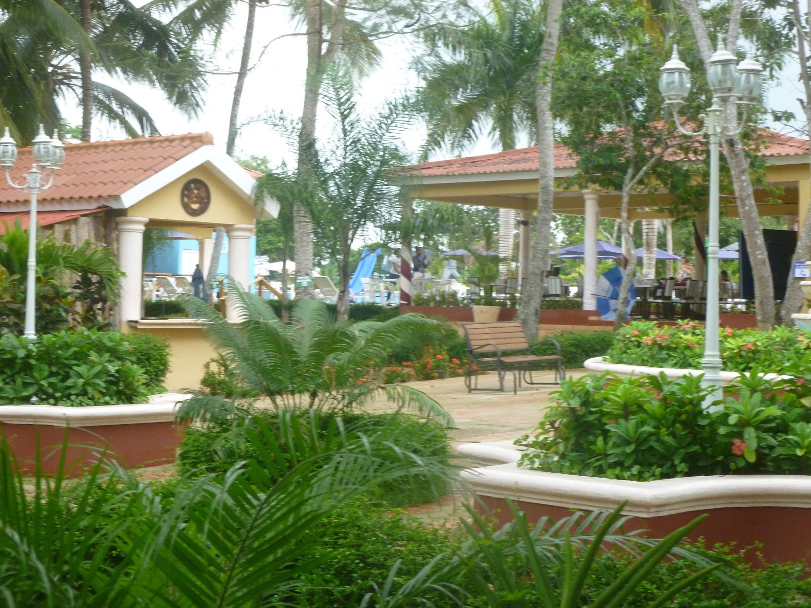 MILENIO CALIENTE: ESTE VERANO VEN A CAMPO AZUL.