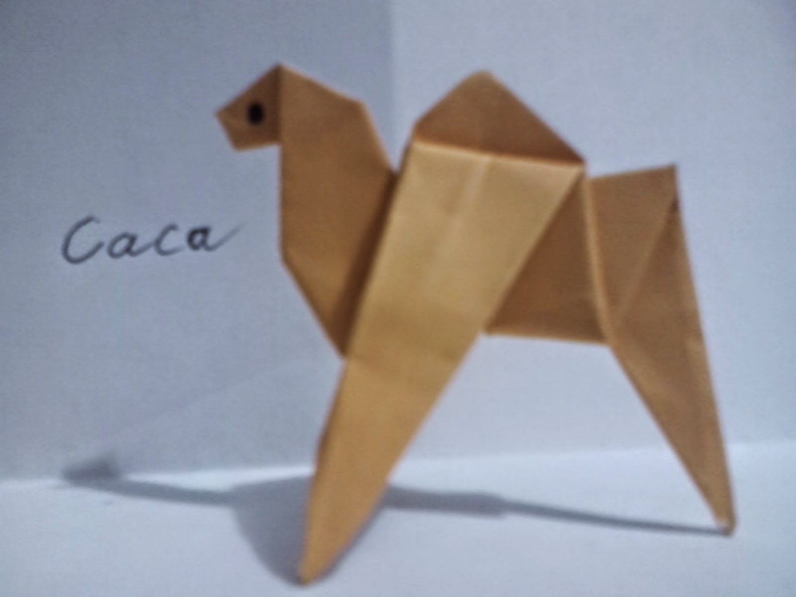 CaCa Imut Cara membuat origami berbentuk Unta