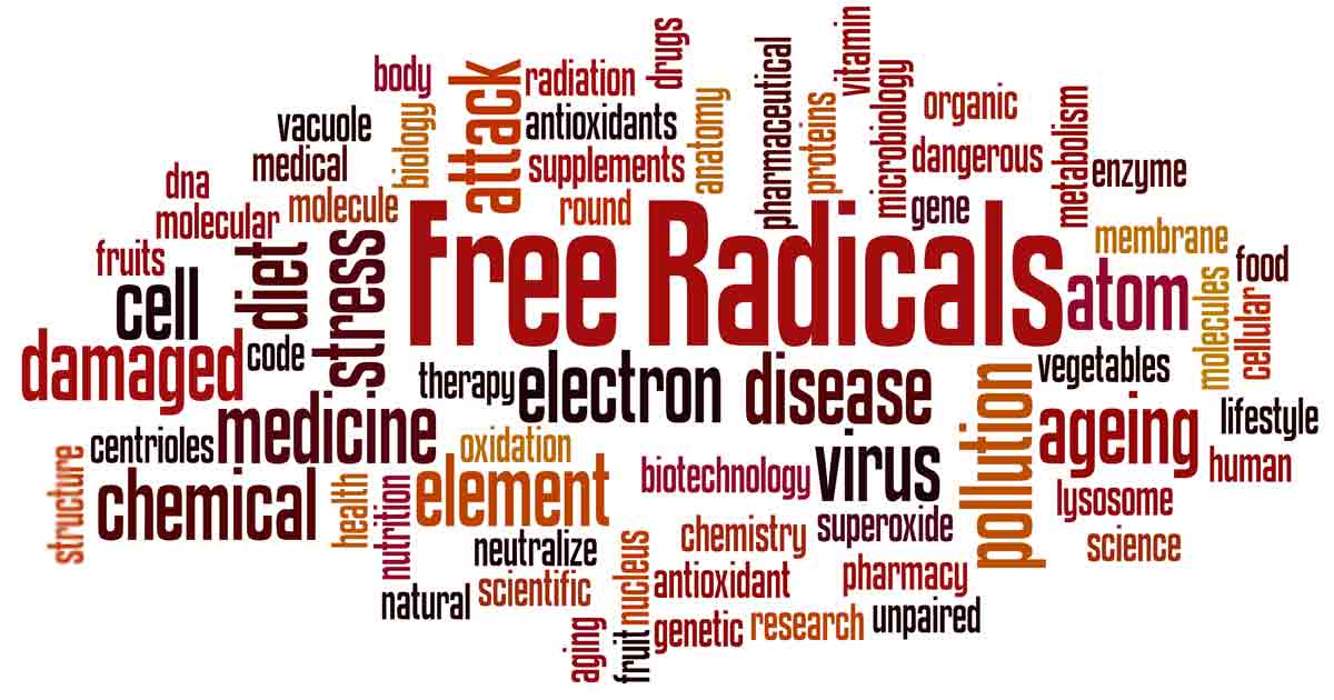 MedFriendly Medical Blog Free Radicals and How They Affect the Body