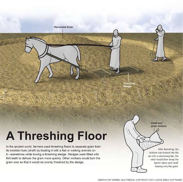 A Threshing Floor a-threshing-floor