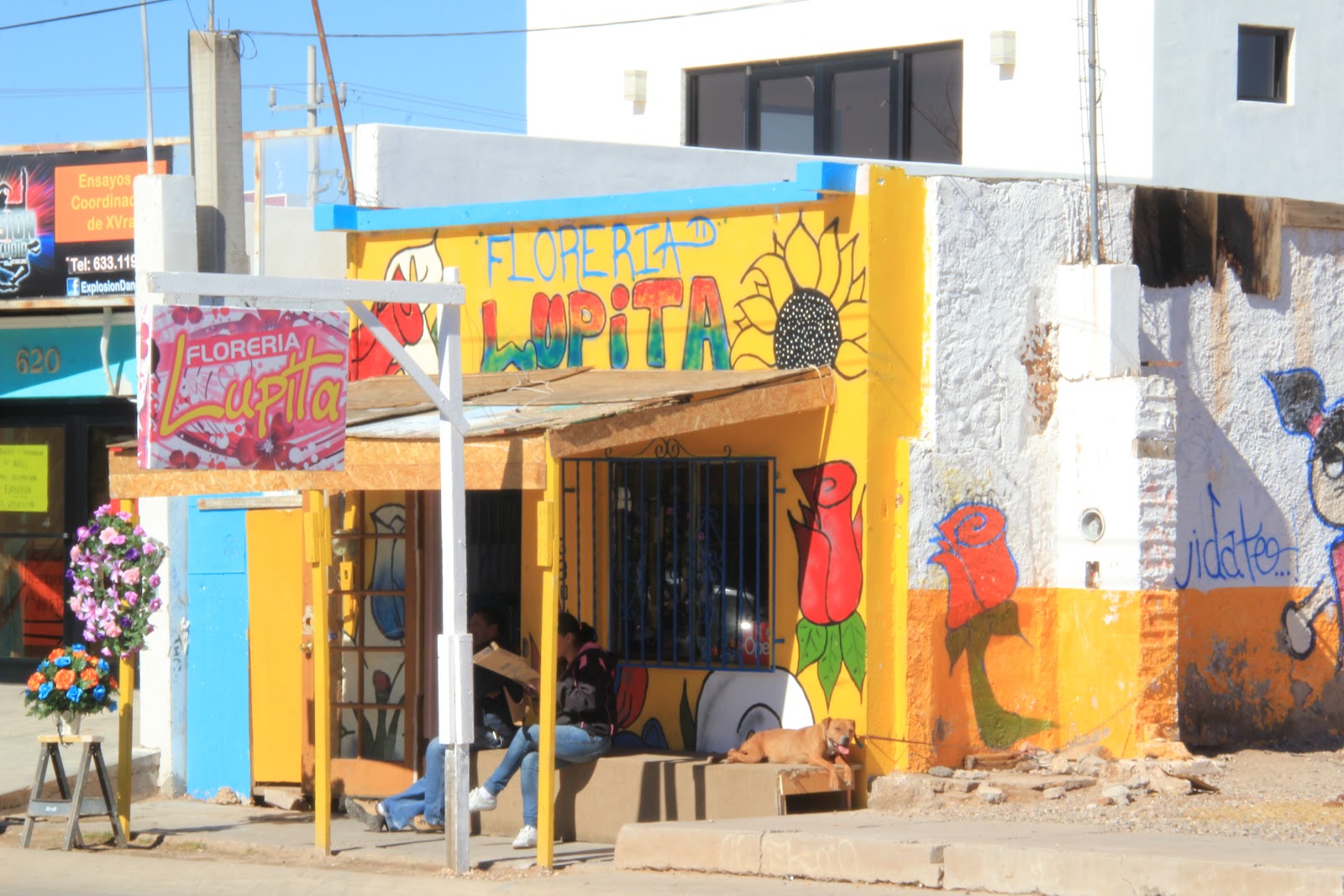 Travels with Twinkles Bisbee, AZ week 2