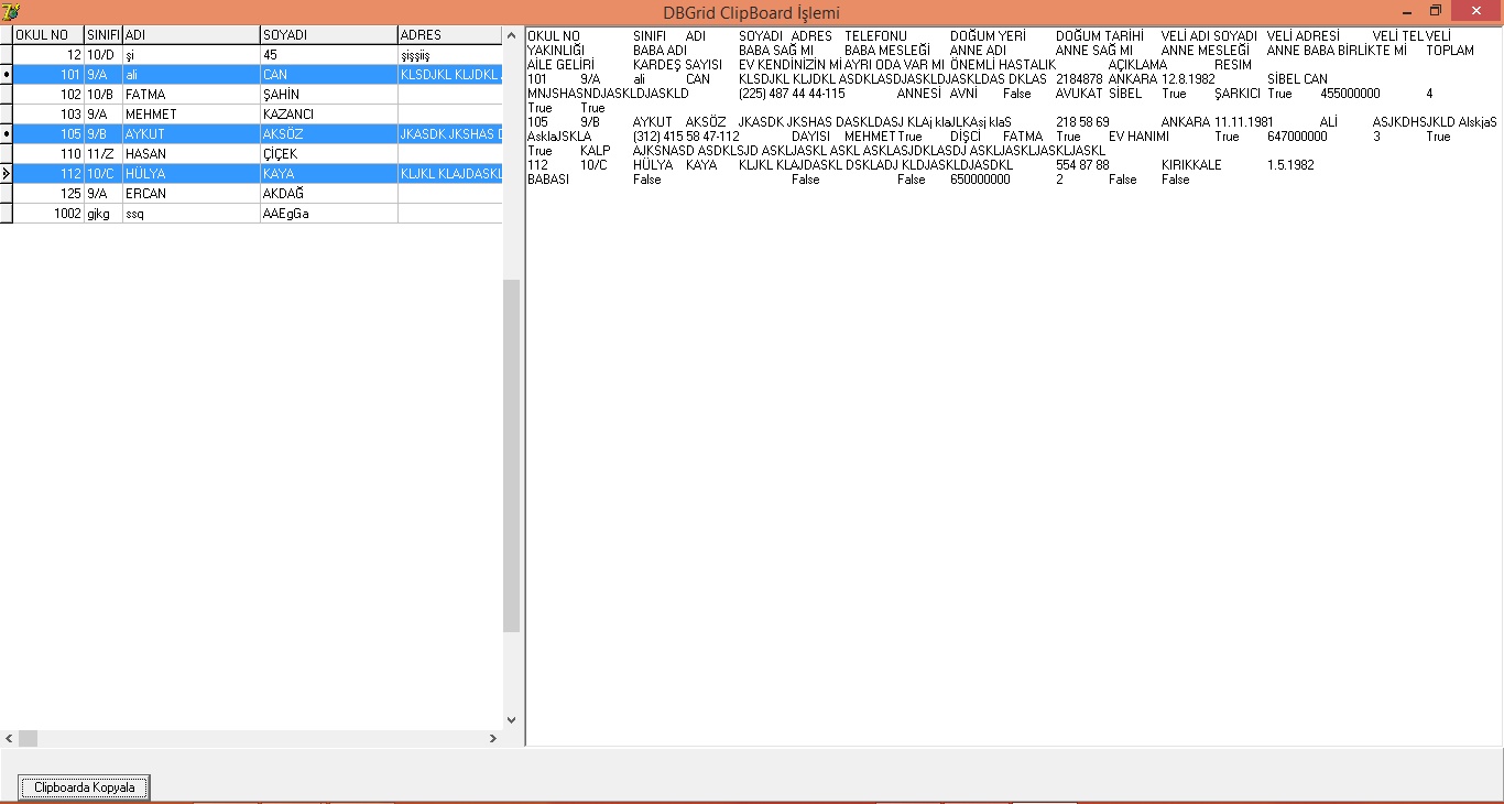 Delphi 7 Veri Tabanından ClipBoarda Veri Kopyalama witalyus